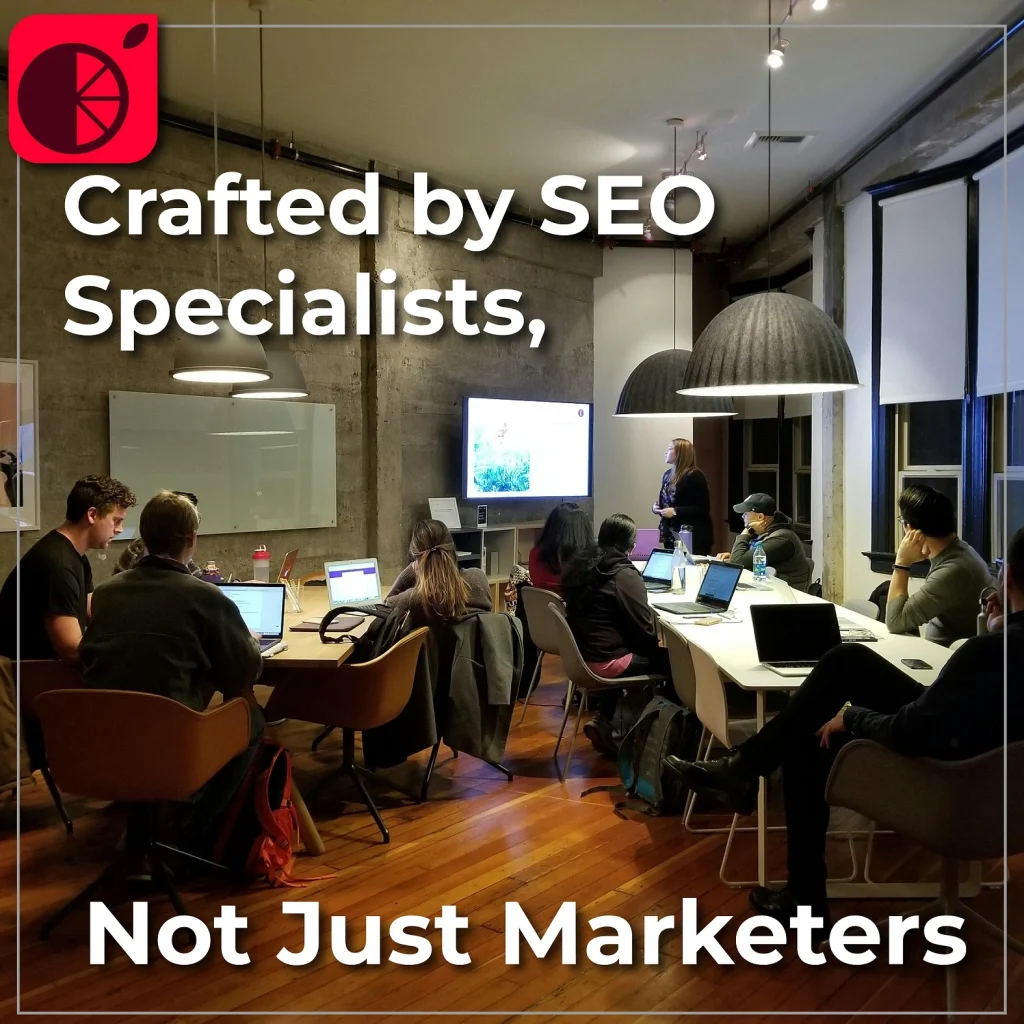REDLIMOO WEB DESIGN & SEO SERVICES (1)