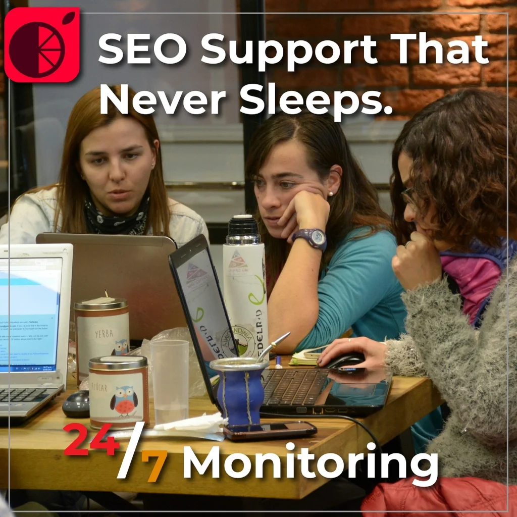 REDLIMOO WEB DESIGN & SEO SERVICES