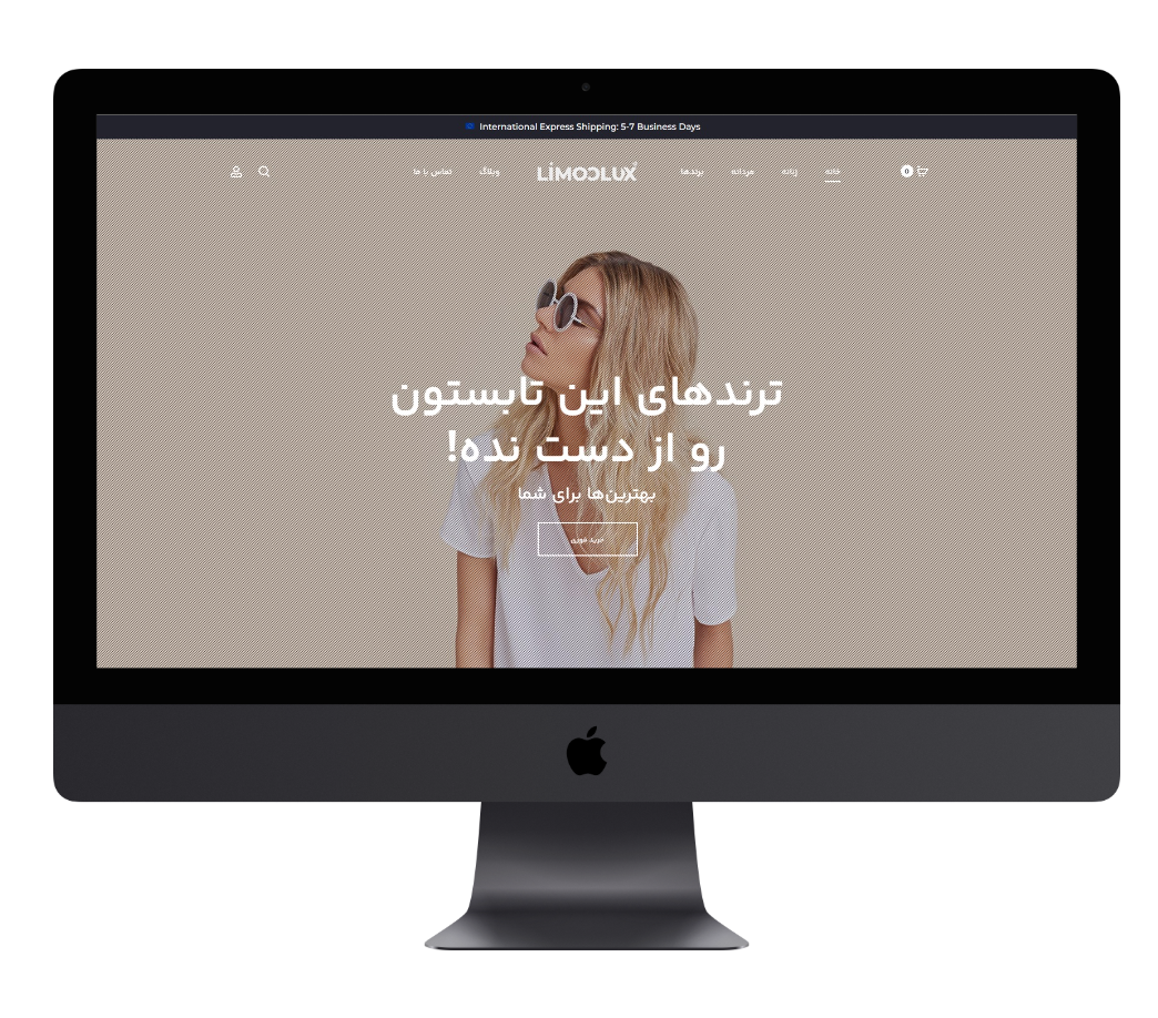REDLIMOO WEB DESIGN & SEO SERVICES